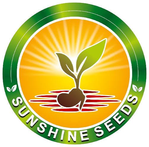 Sunshine Seeds
